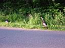 DSC01140.JPG