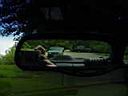 DSC02335.JPG