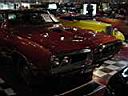 DSC02374.JPG